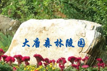 洛阳大唐森林陵园